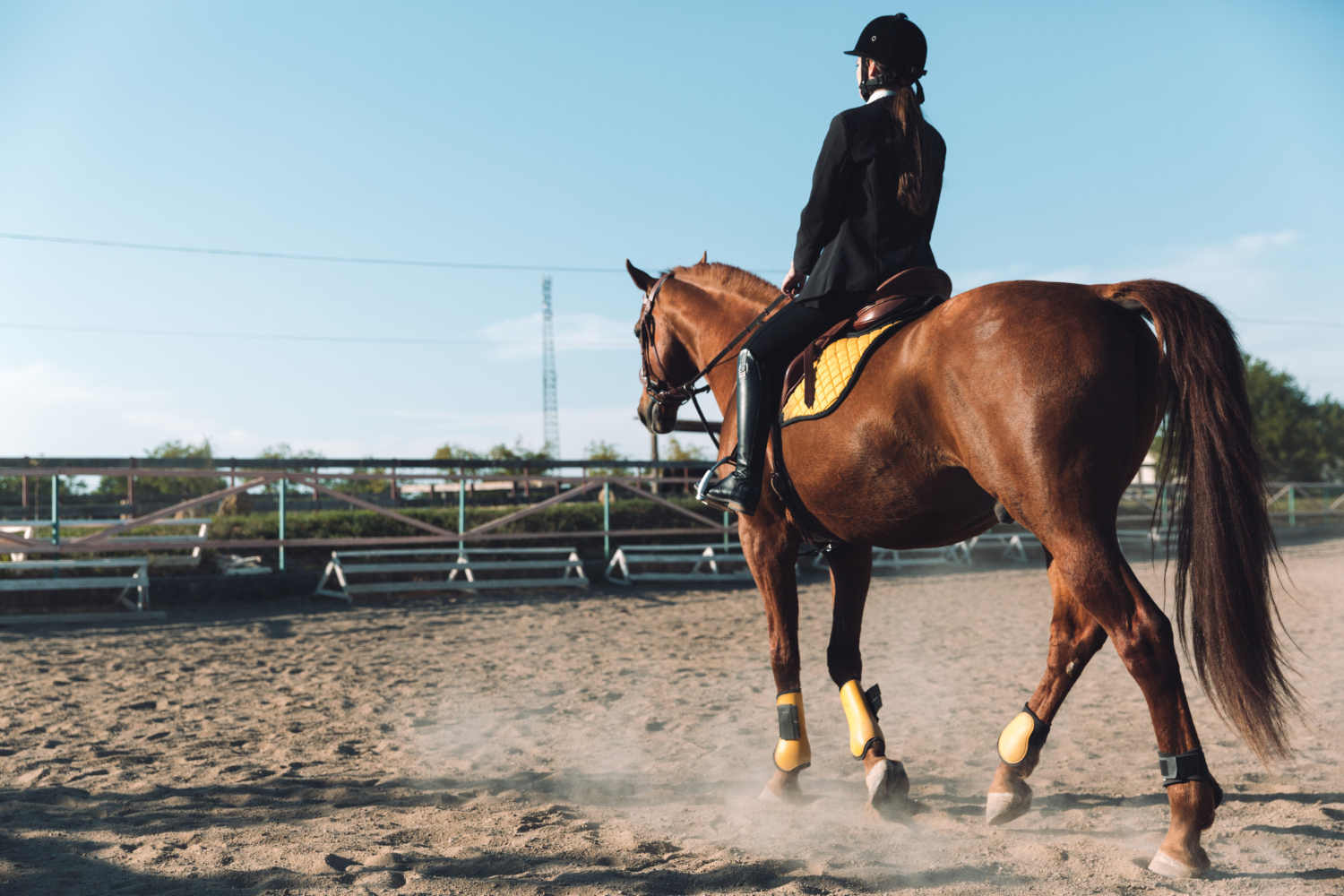 amazing-young-cowgirl-sitting-horse-outdoors