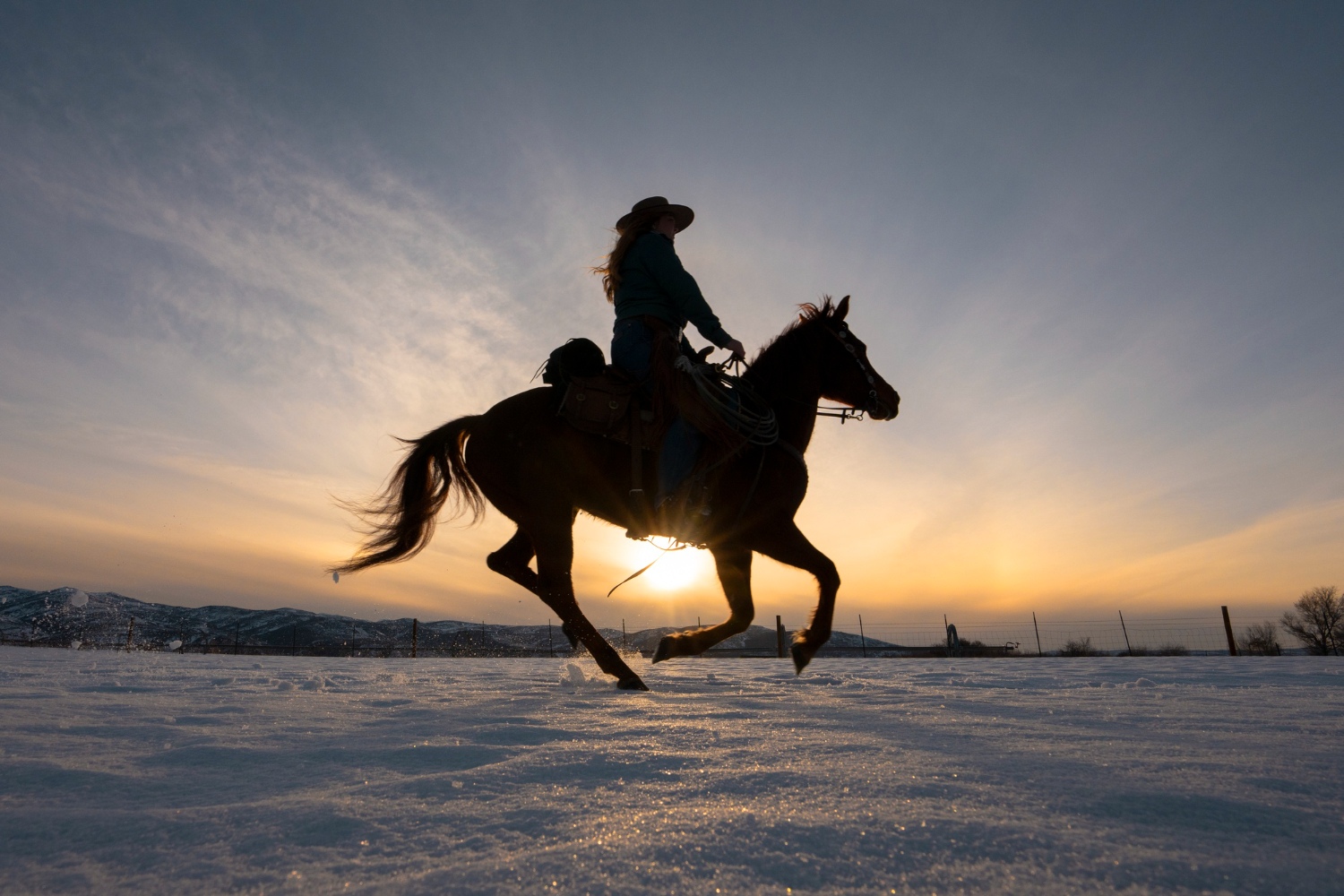 silhouette-cowgirl-horse